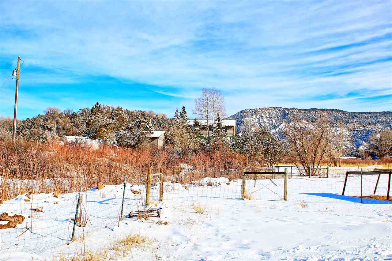 59139 Spring Street Collbran, CO 81624 - Photo 6 of 39 Gallery Image 6