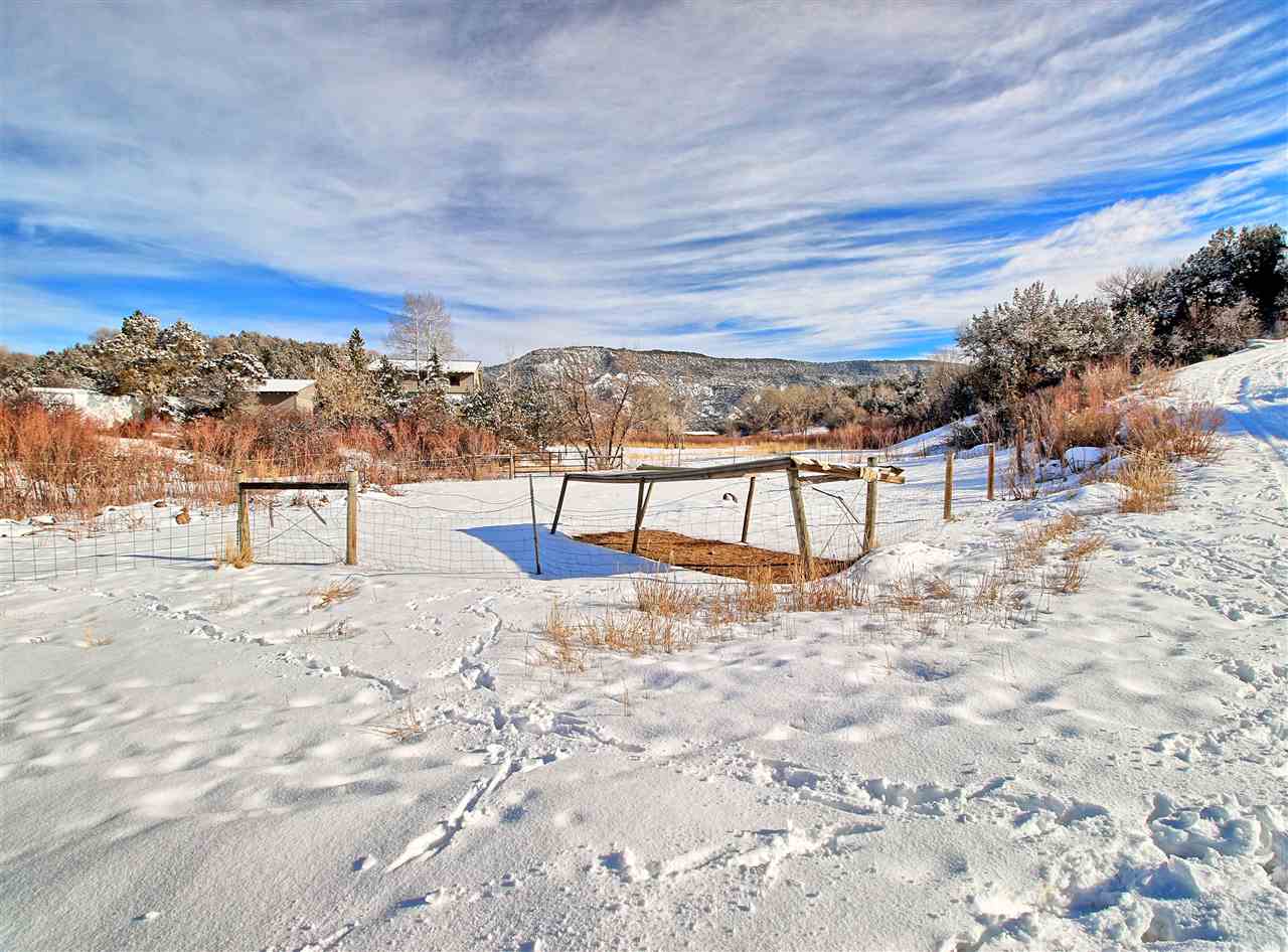 59139 Spring Street Collbran, CO 81624 - Photo 7 of 39 Gallery Image 7