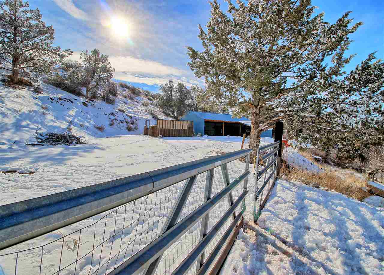 59139 Spring Street Collbran, CO 81624 - Photo 8 of 39 Gallery Image 8