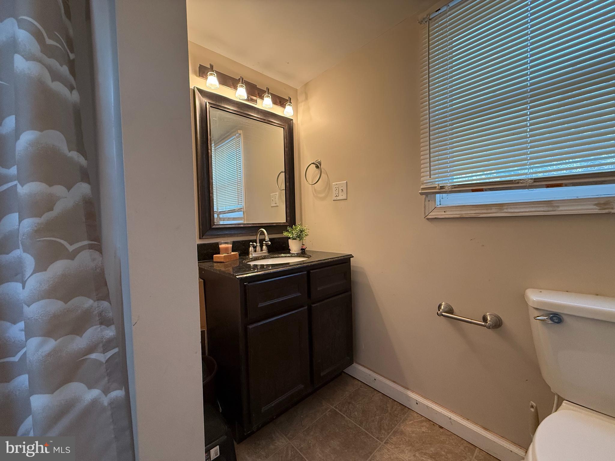16293 Diamond Farm Road Milton, DE 19968 - Photo 5 of 19 bathroom vanity
