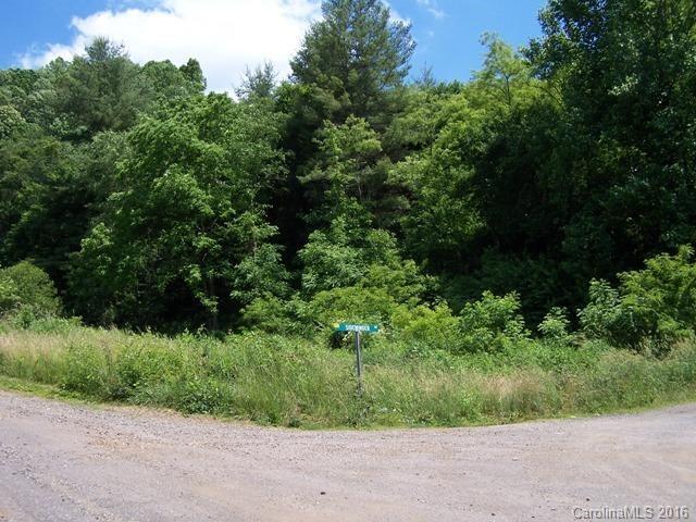 Smith-johnson Smith Johnson Road, Unit 20 & 21 Green Mountain, NC 28740 - Photo 1 of 12