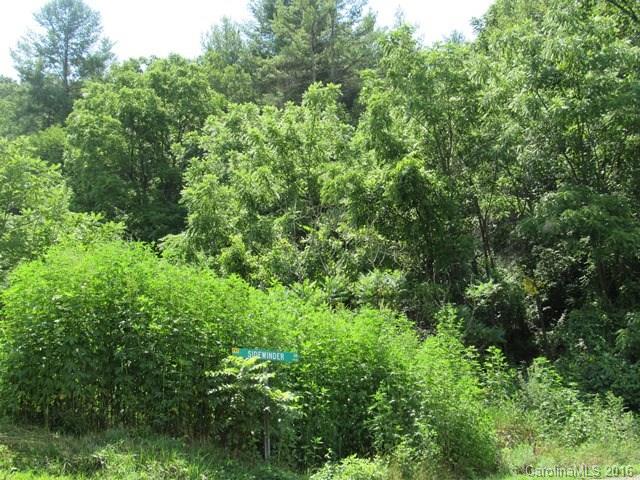 Smith-johnson Smith Johnson Road, Unit 20 & 21 Green Mountain, NC 28740 - Photo 2 of 12