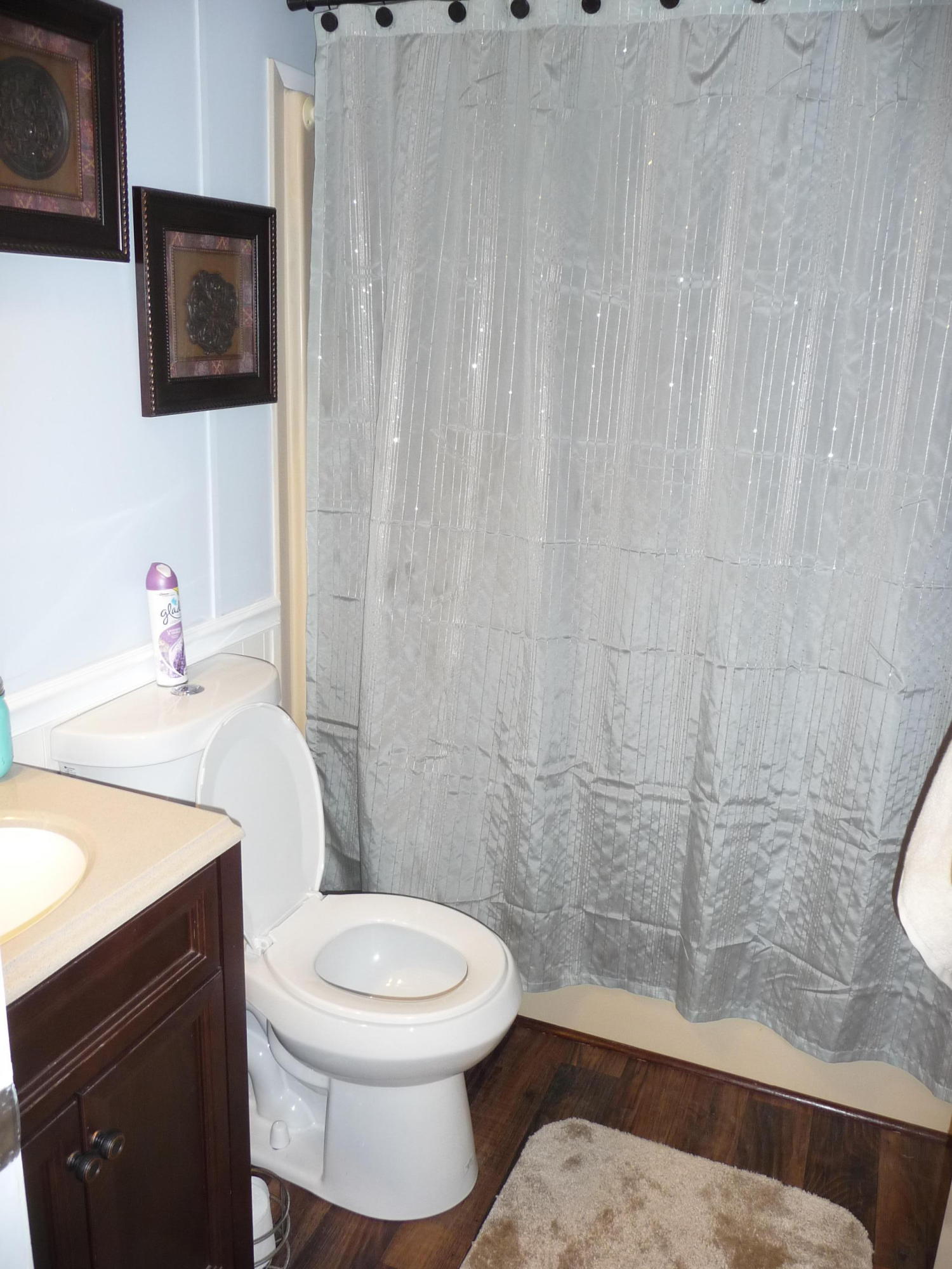 377 Carter Road Ridgeville, SC 29472 - Photo 28 of 38 P1040097