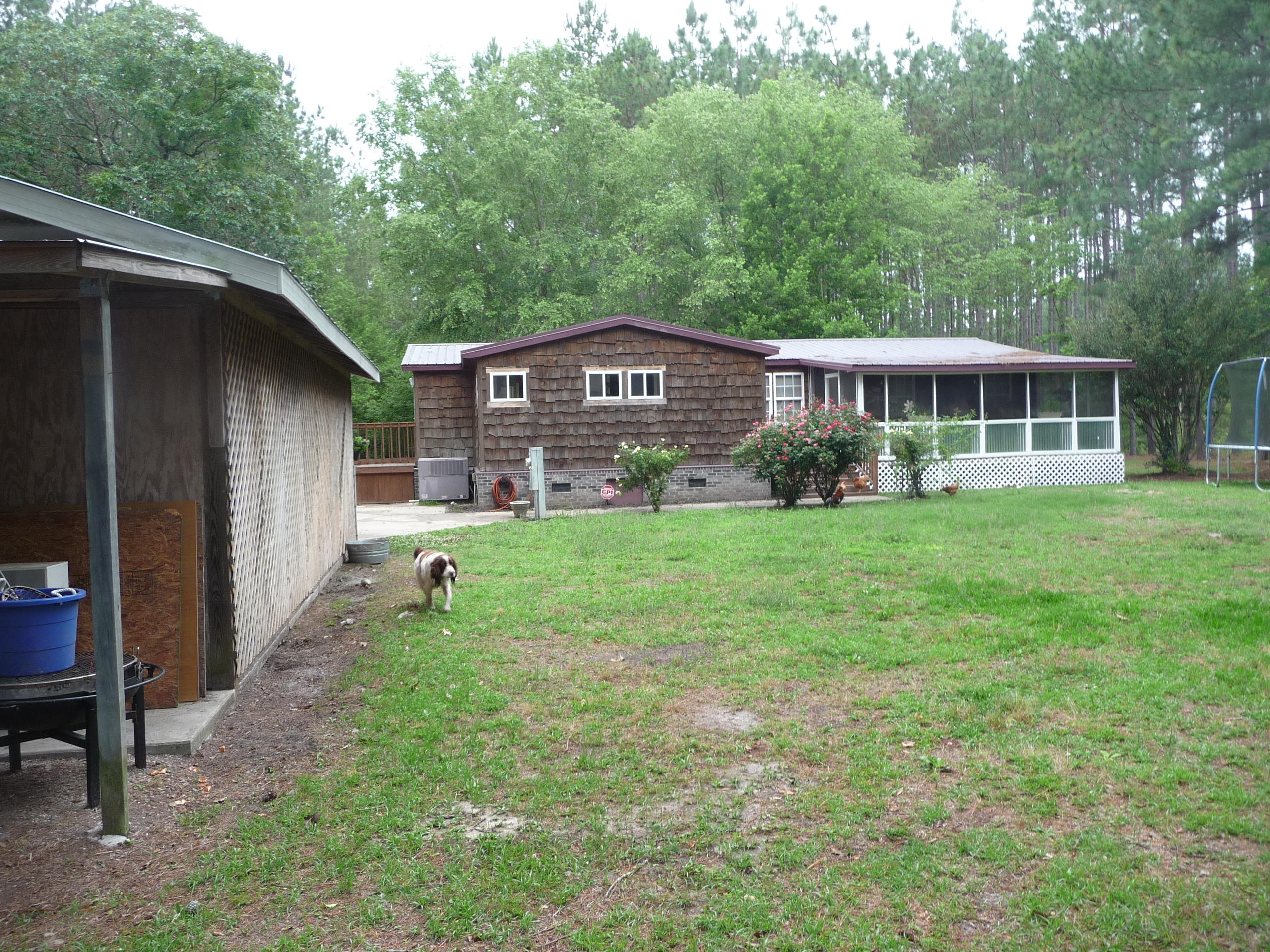 377 Carter Road Ridgeville, SC 29472 - Photo 32 of 38 P1040071