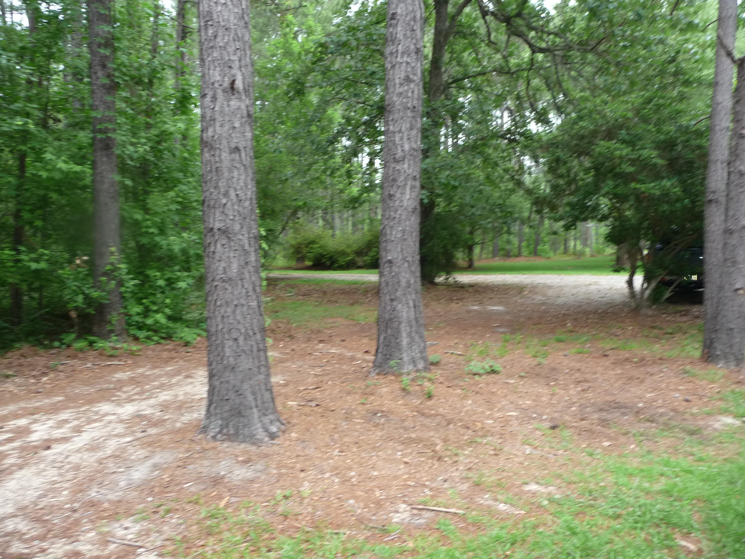 377 Carter Road Ridgeville, SC 29472 - Photo 34 of 38 P1040078