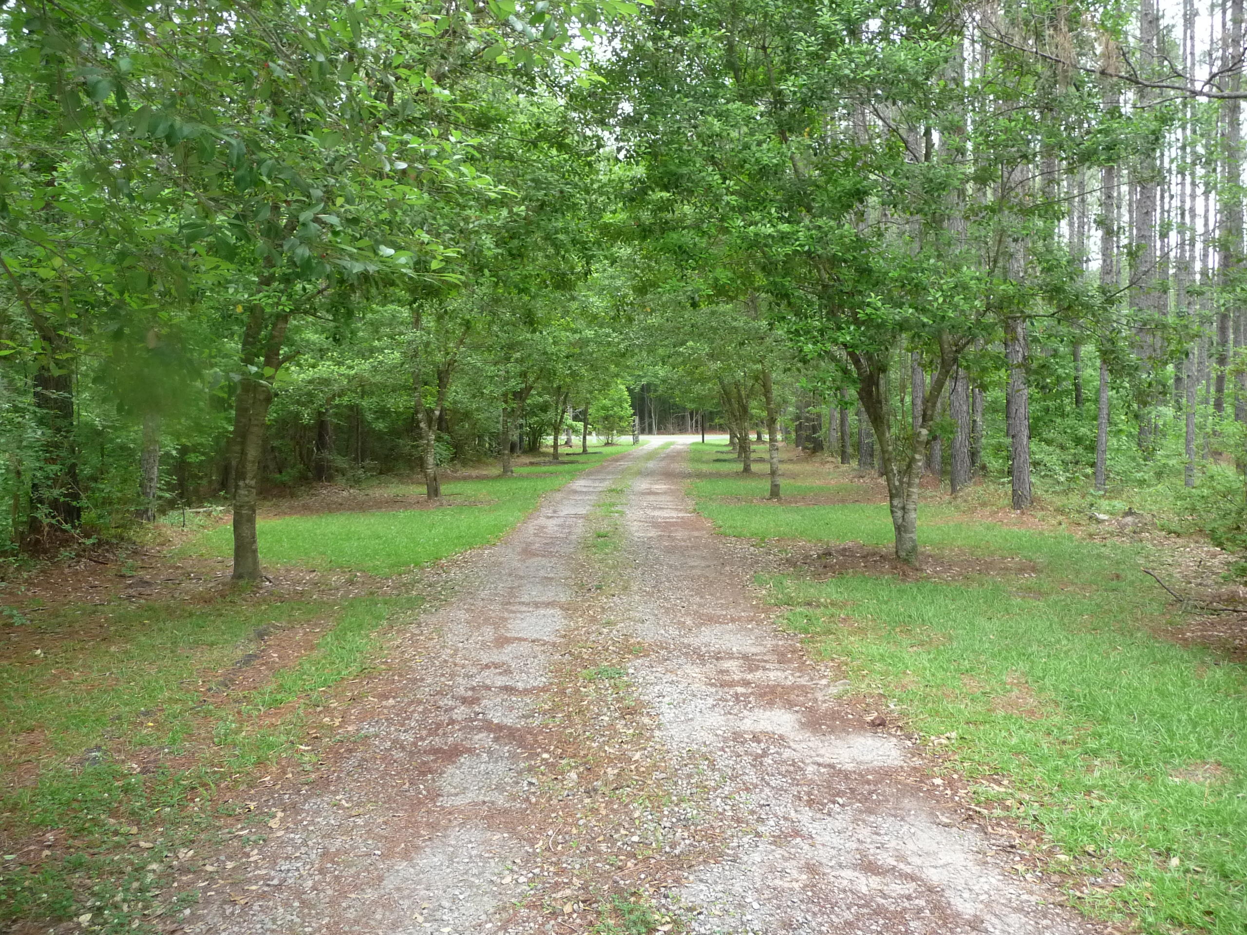 377 Carter Road Ridgeville, SC 29472 - Photo 8 of 38 P1040055
