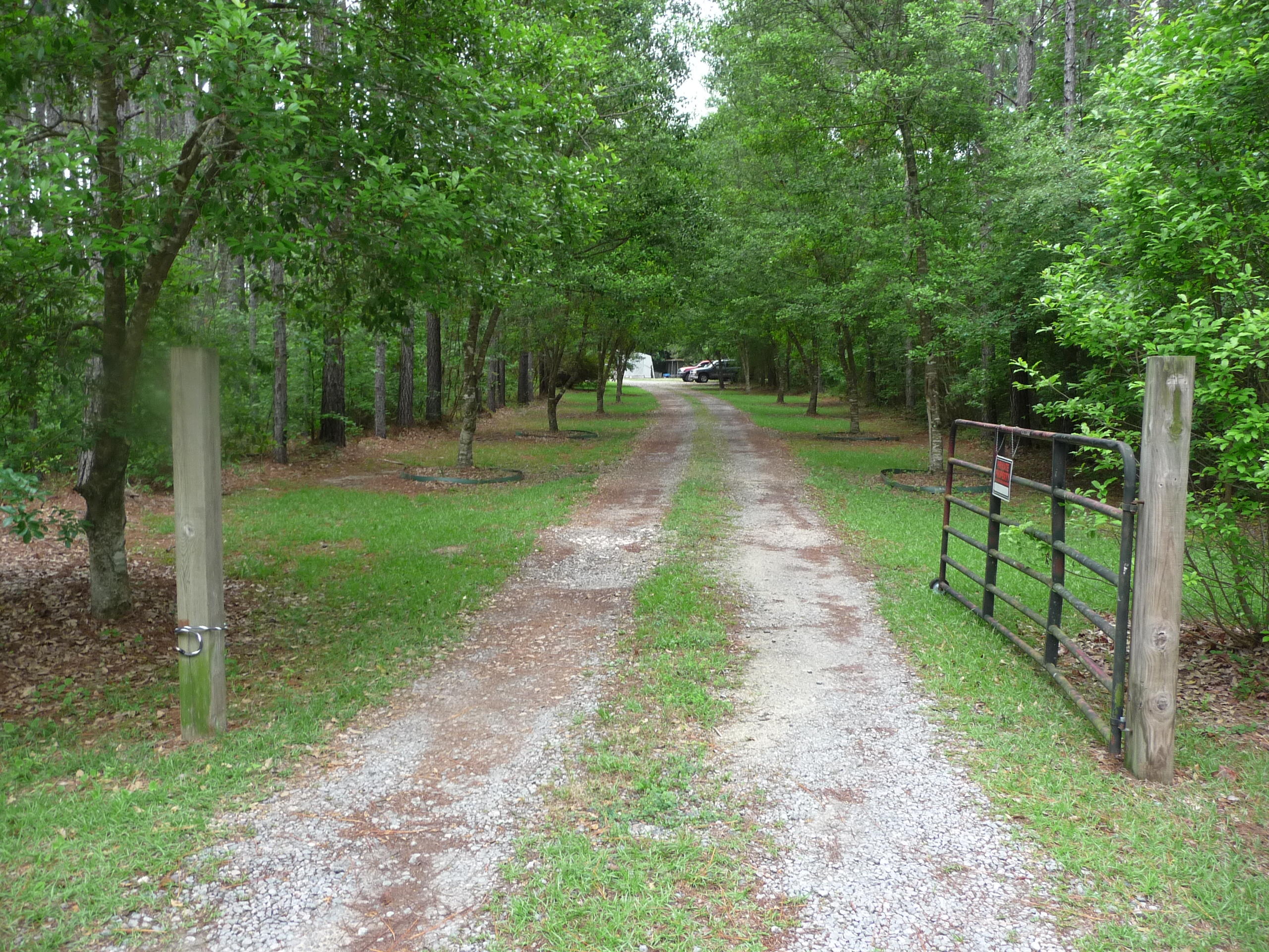 377 Carter Road Ridgeville, SC 29472 - Photo 9 of 38 P1040058