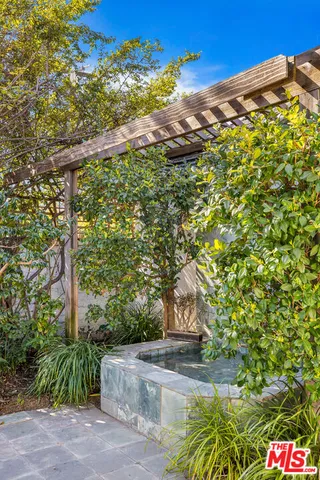 a view of a tree with a yard