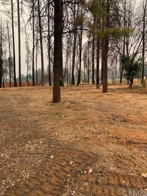 8619 Stiras Way Paradise, CA 95969 - Photo 3 of 7