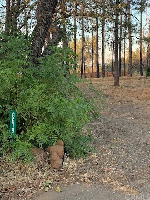 8619 Stiras Way Paradise, CA 95969 - Photo 5 of 7