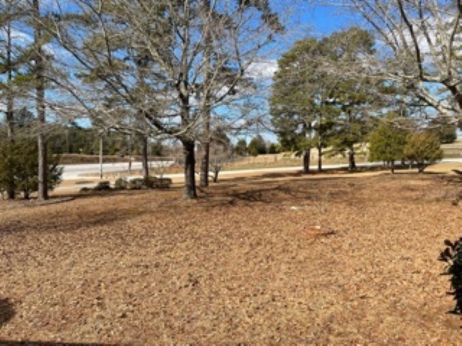 289 State Rd S-44-407 Jonesville, SC 29353 - Photo 26 of 26 Gallery Image 26