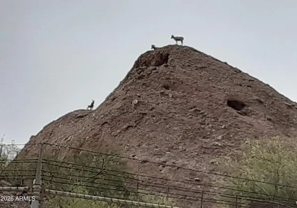 $725,000 | 101 East Papago Drive, Tempe, AZ 85288