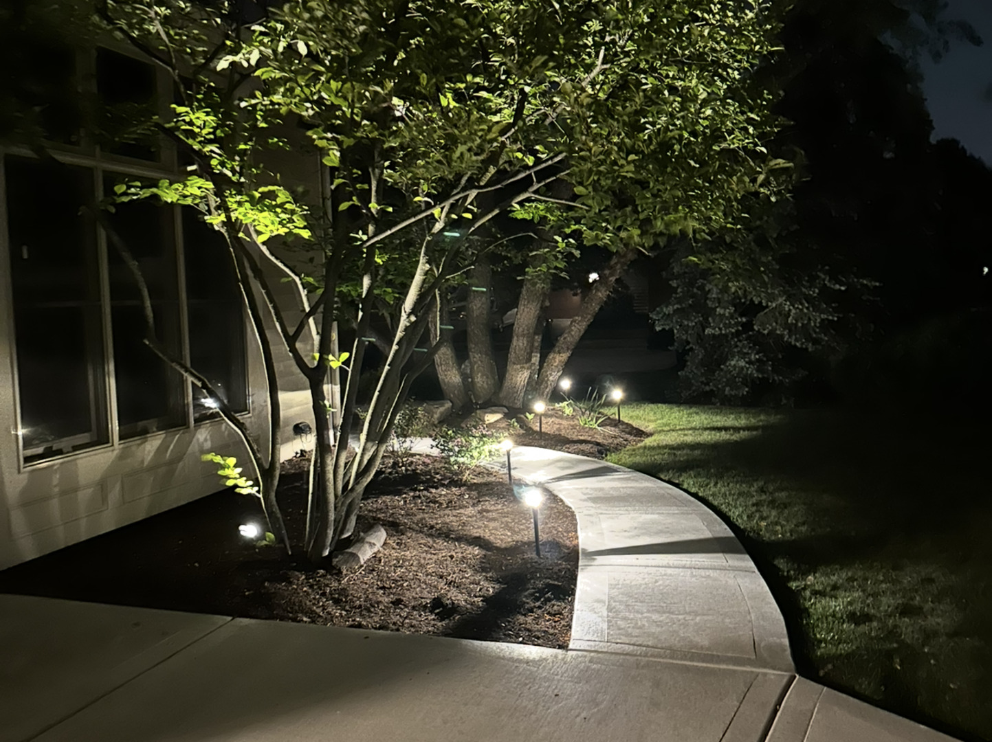 1N539 Turnberry Lane Winfield, IL 60190 - Photo 36 of 41 a view of an outdoor space with a tree