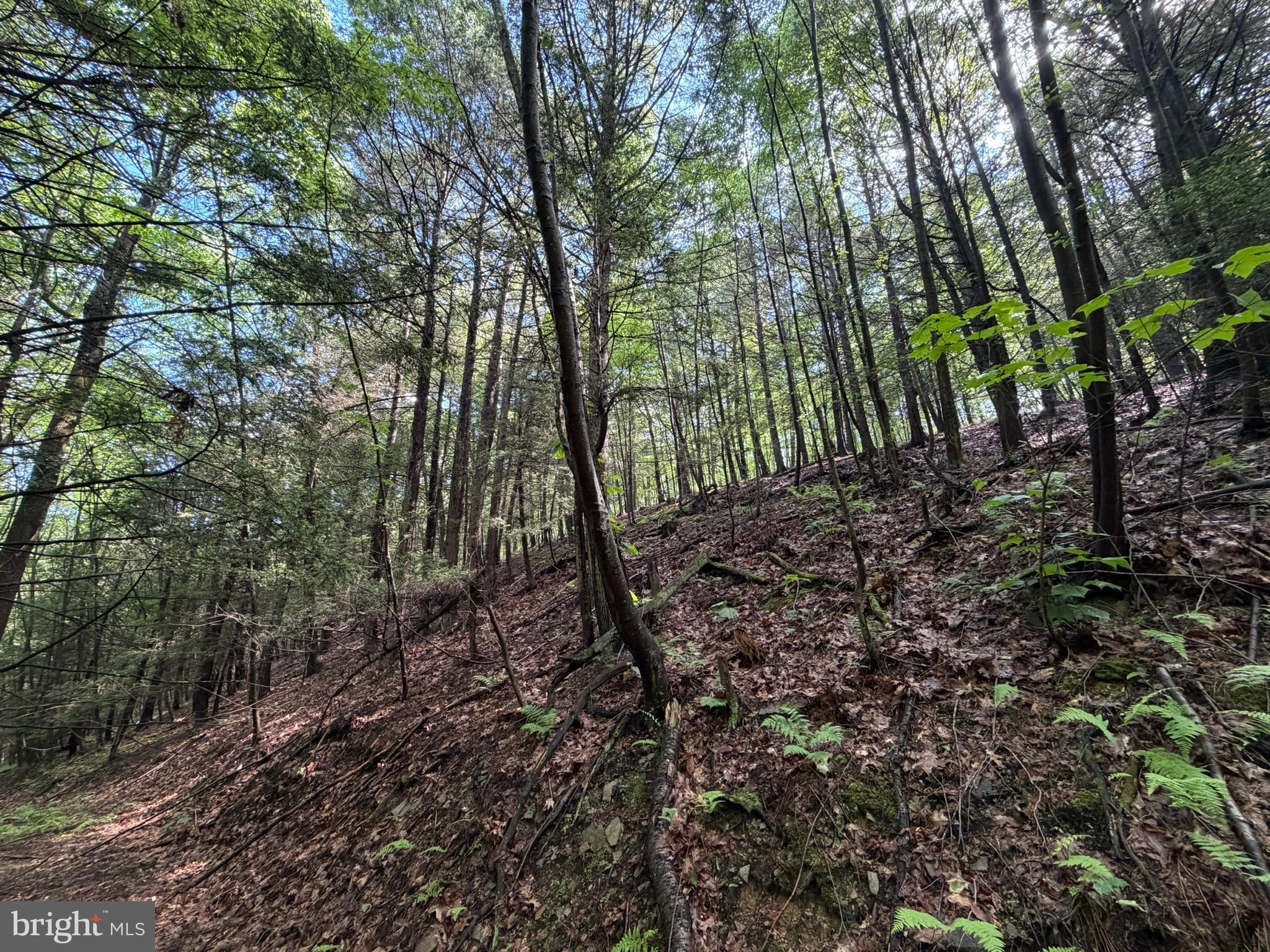 848 Sugar Camp Road Clearfield, PA 16830 - Photo 93 of 118