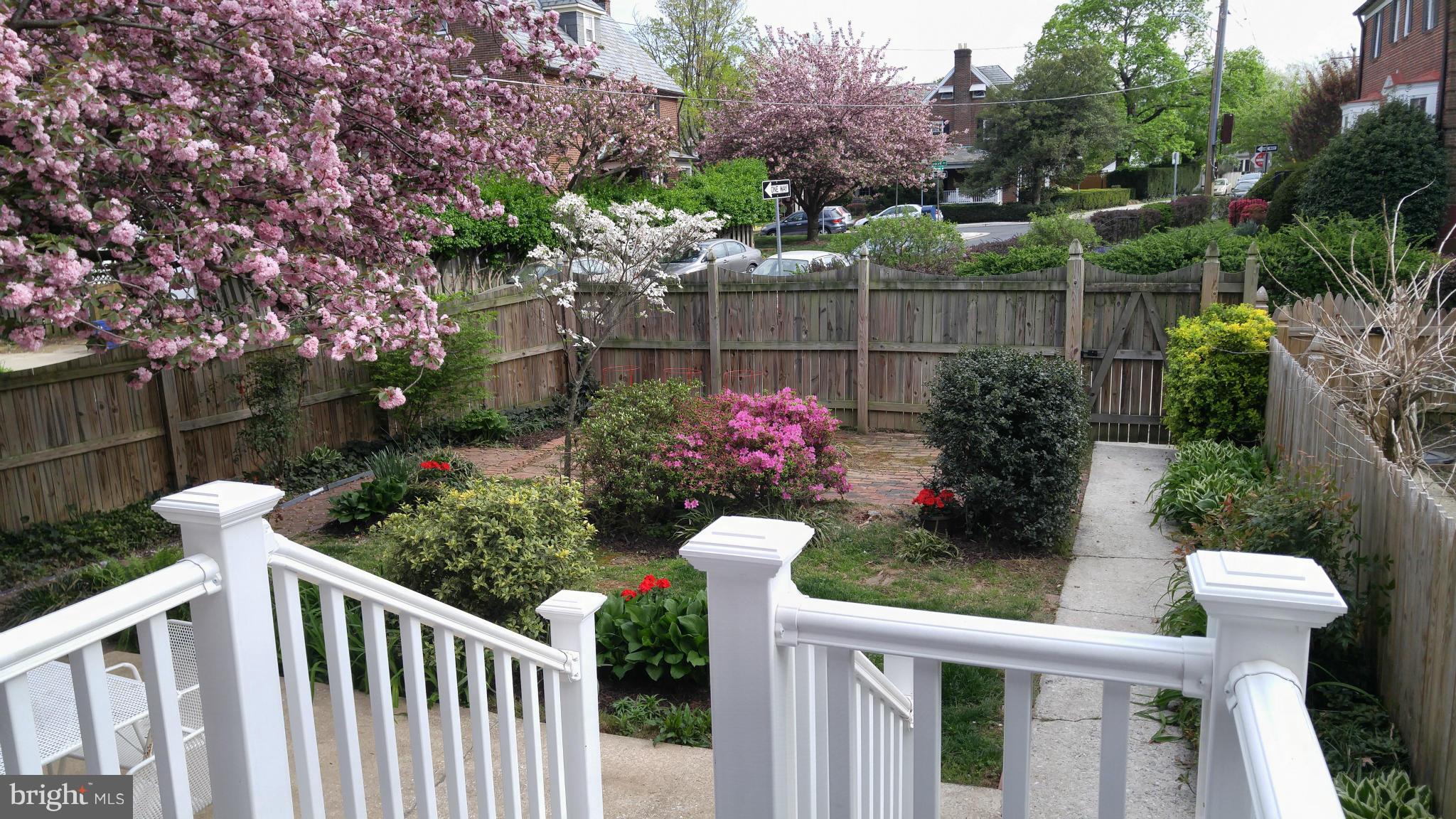 141 Murdock Road Baltimore, MD 21212 - Photo 24 of 30 Exterior (Rear)