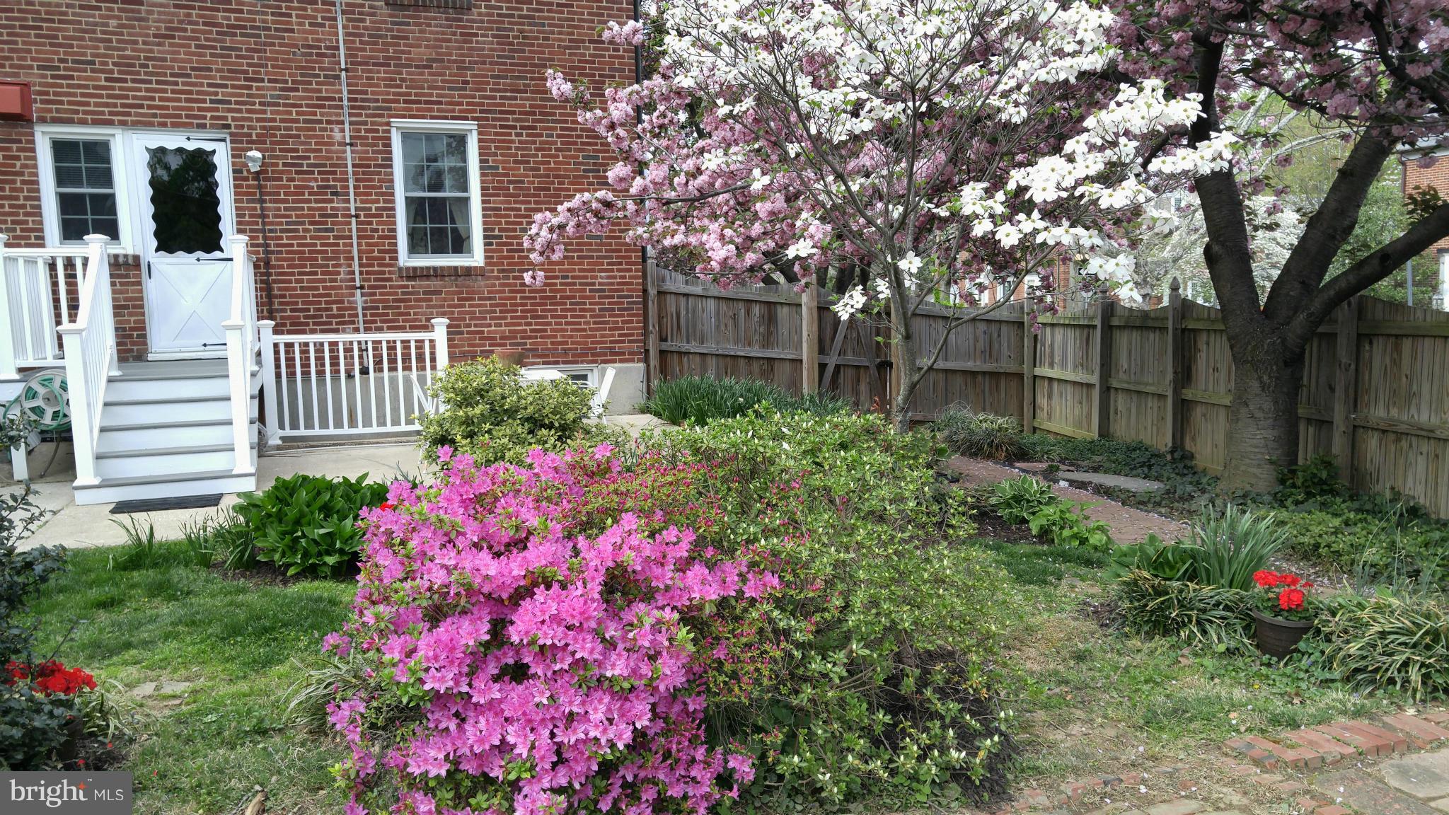 141 Murdock Road Baltimore, MD 21212 - Photo 26 of 30 Exterior (Rear)