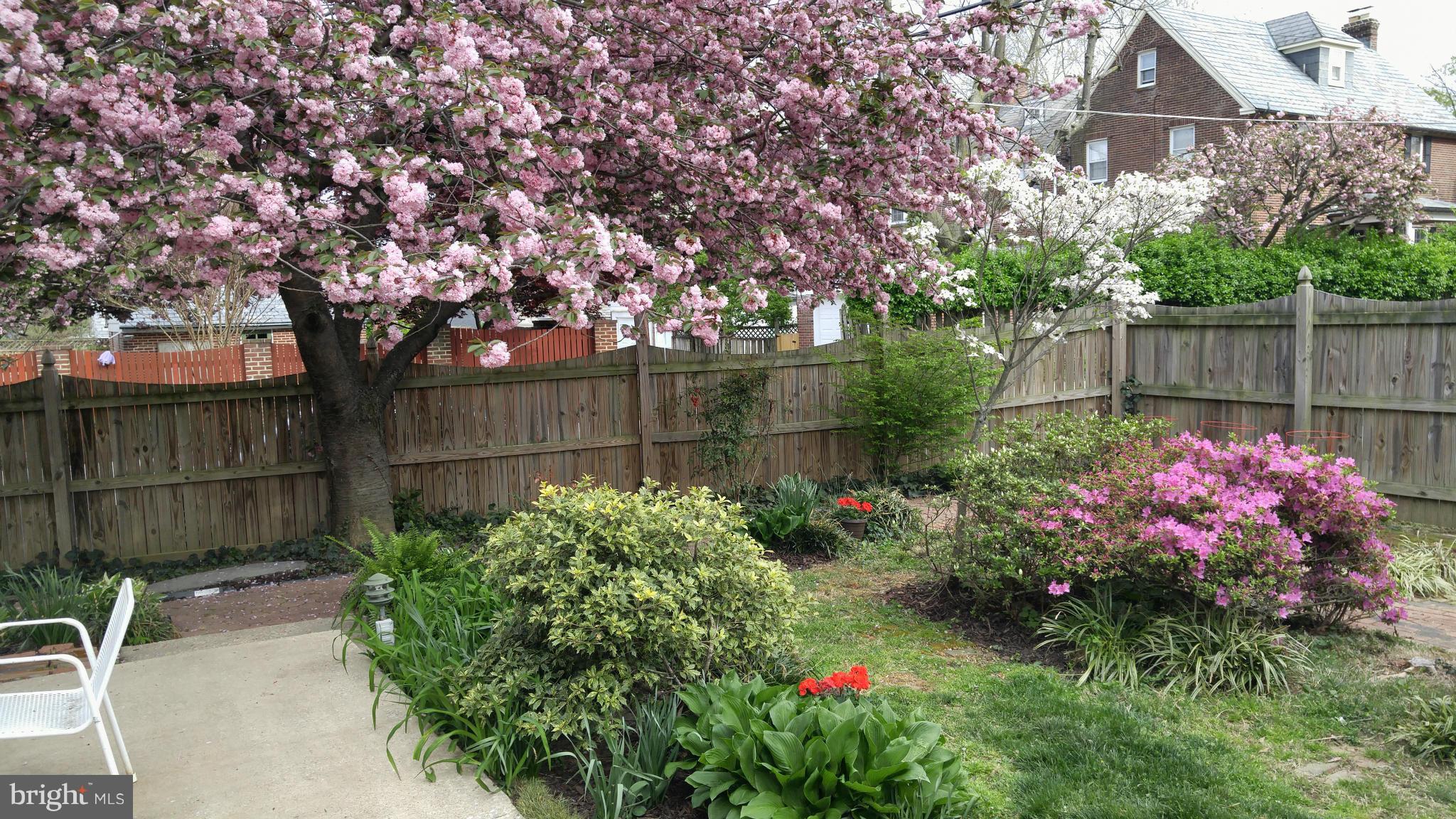 141 Murdock Road Baltimore, MD 21212 - Photo 27 of 30 Exterior (Rear)
