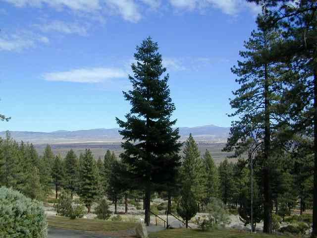 144 Summit Ridge Way, Unit JOB'S PEAK RANCH Gardnerville, NV 89460 - Photo 8 of 8 Photo 8