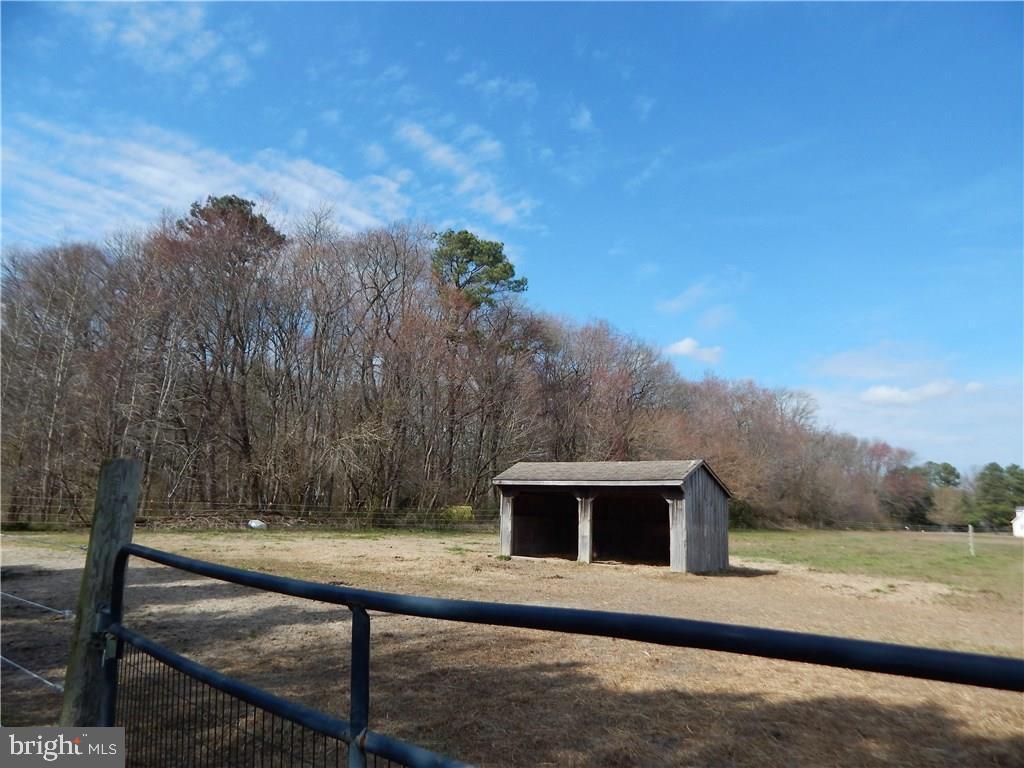 12337 Line Road Delmar, DE 19940 - Photo 27 of 29