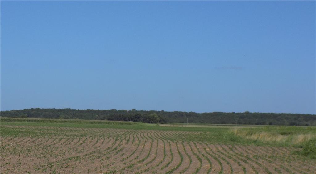 0 Southeast 900 Road Kincaid, KS 66039 - Photo 15 of 20