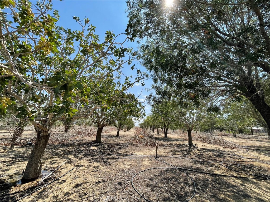 10849 Barstow Road Lucerne Valley, CA 92356 - Photo 4 of 9