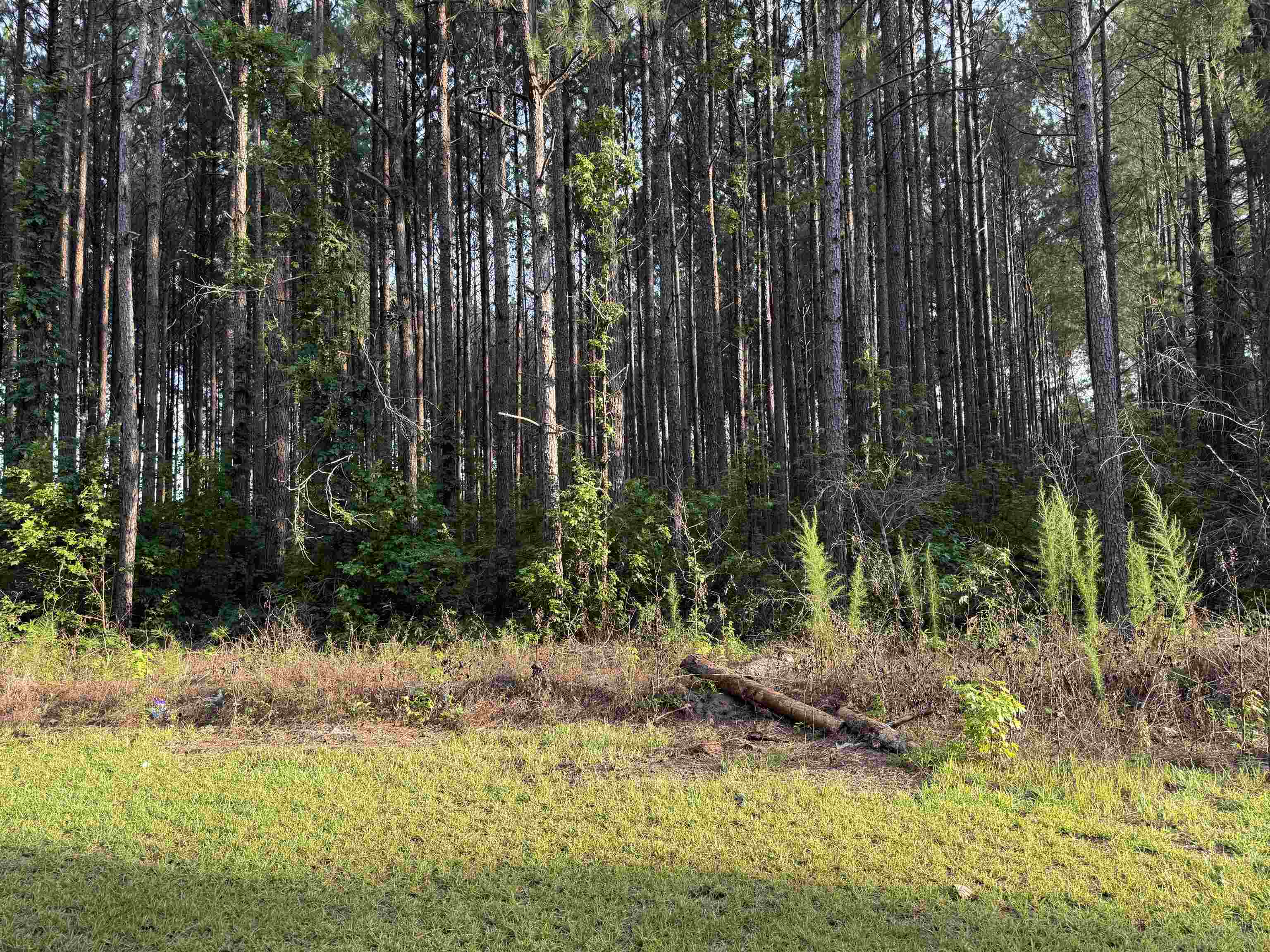 0 South Country Club Road Lake City, SC 29560 - Photo 4 of 5