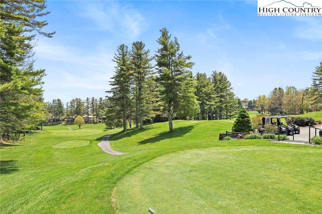 228 Snowshoe Loop Newland, NC 28657 - Photo 46 of 50 a view of field with grass and trees