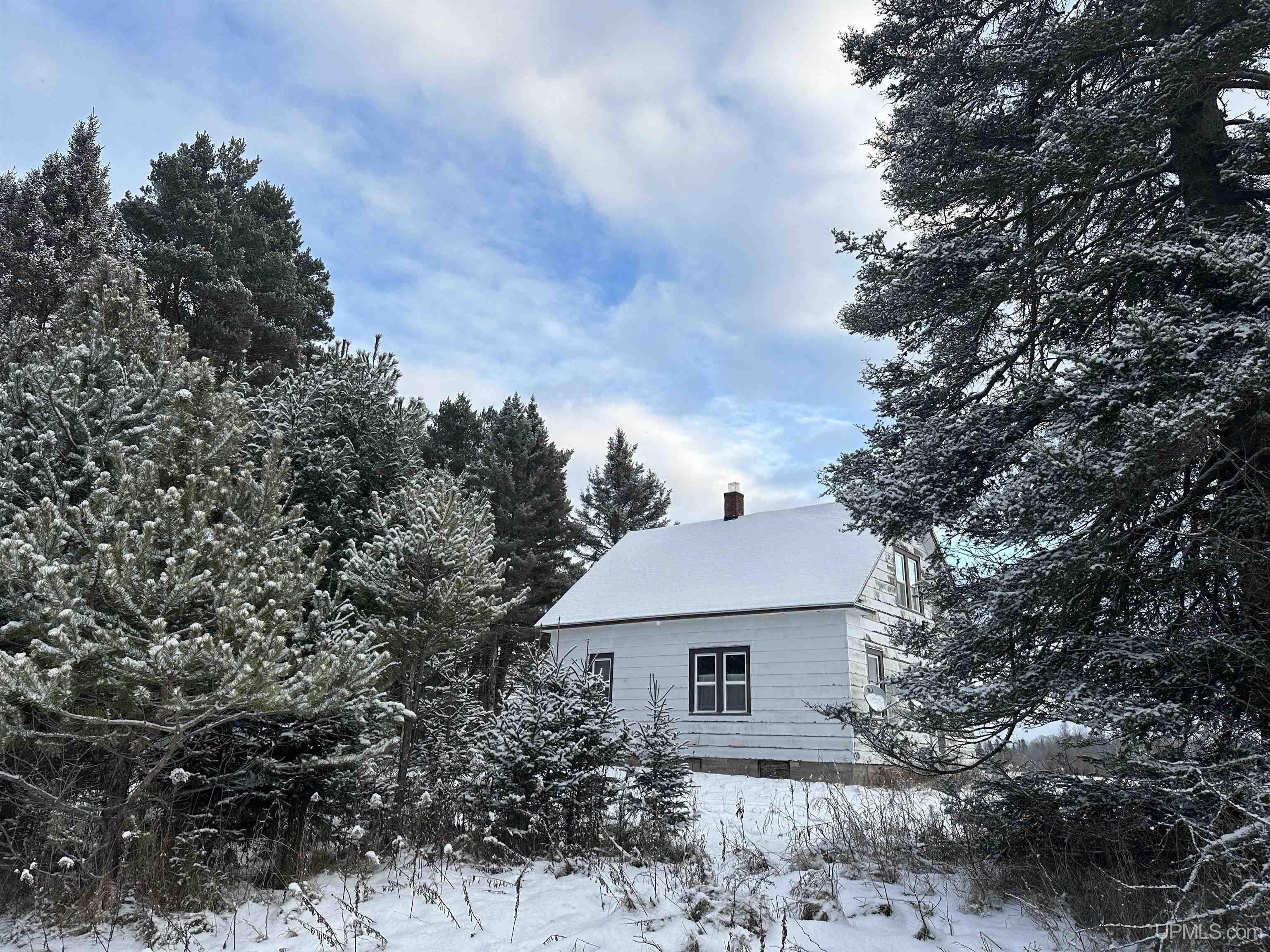 Tbd West Maple Ridge 37 Road Rock, MI 49880 - Photo 27 of 31