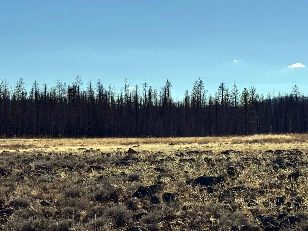 Bull Pine Road, Unit 500 400 300 Beatty, OR 97621 - Photo 13 of 49 IMG_4197