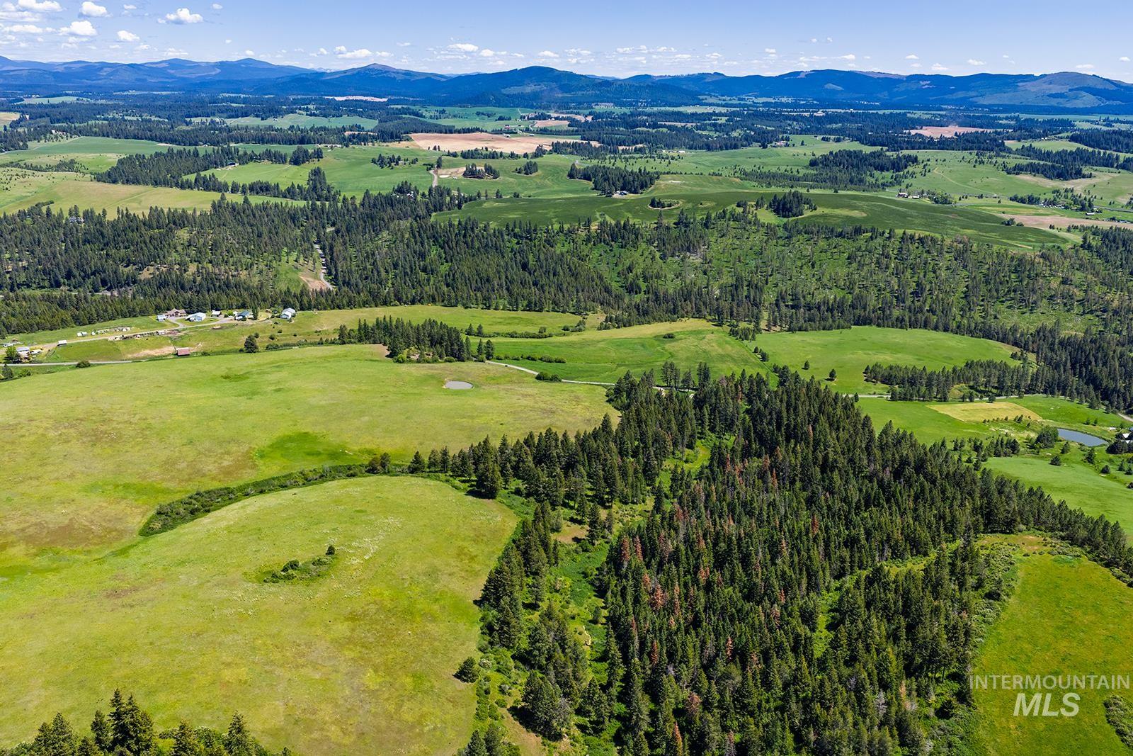Tbd Tbd Johnson Road, Unit 5 Deary, ID 83823 - Photo 6 of 18