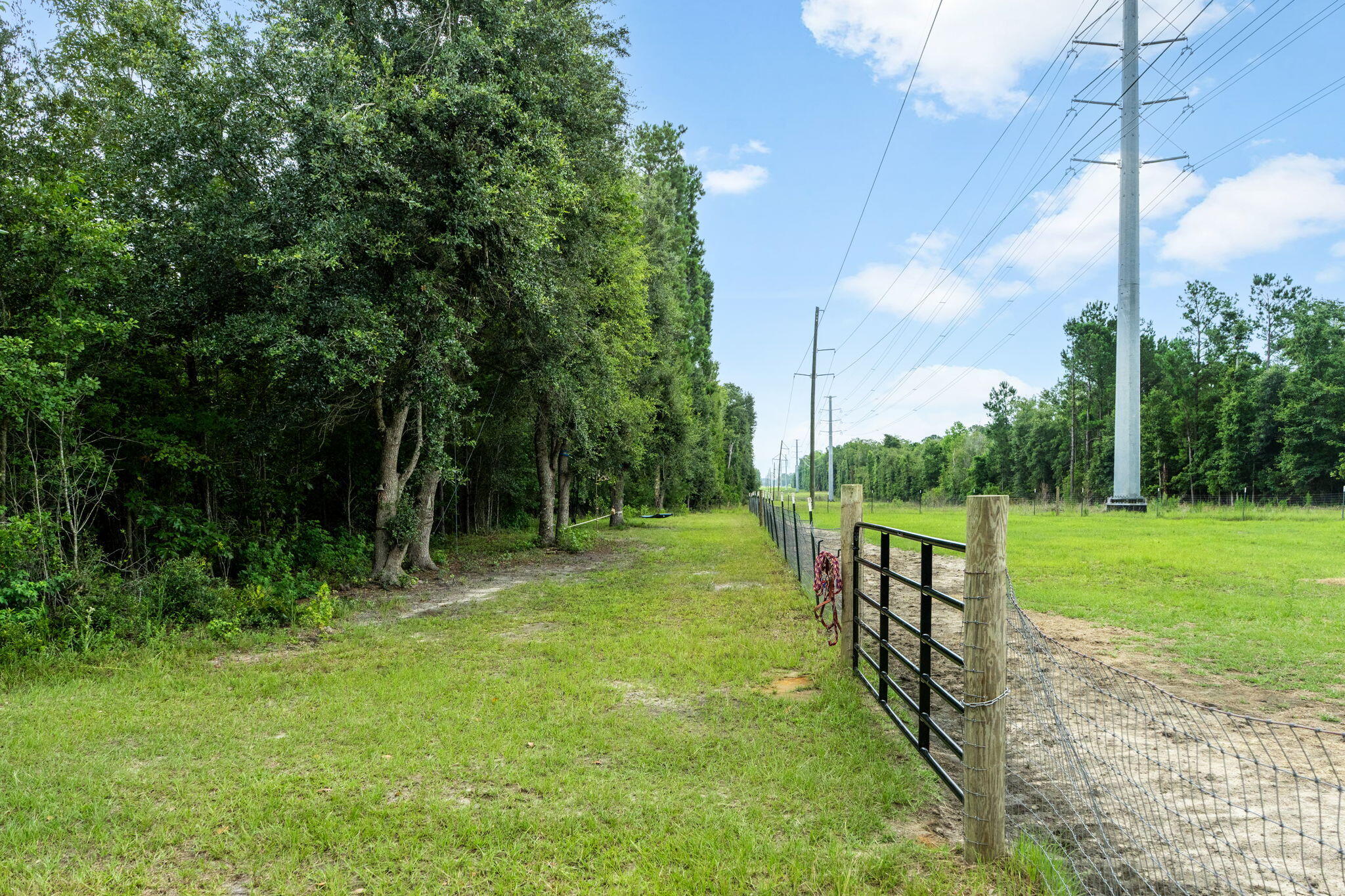 446 Salem Road Dorchester, SC 29437 - Photo 5 of 27 9-web-or-mls-Barclay Media Co-7