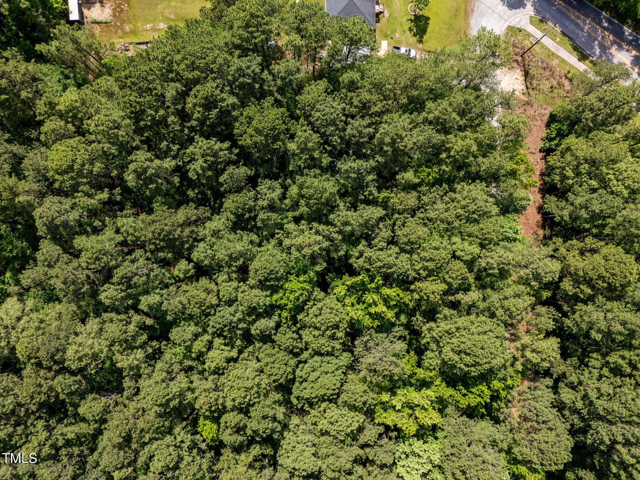 1540 Brown Street Durham, NC 27713 - Photo 11 of 22 an outdoor view of a yard