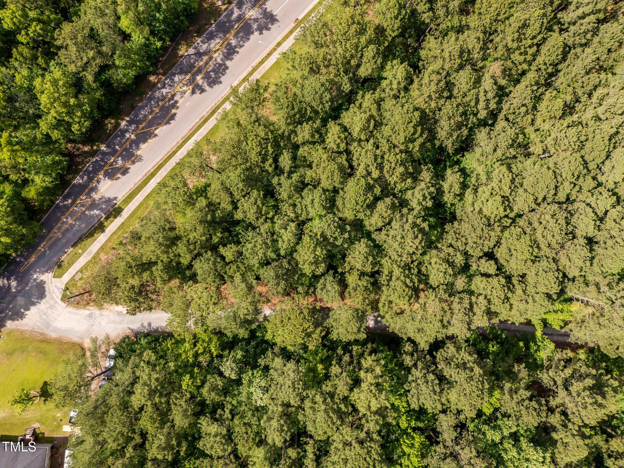 1540 Brown Street Durham, NC 27713 - Photo 12 of 22 a view of a yard with plants and wooden bench