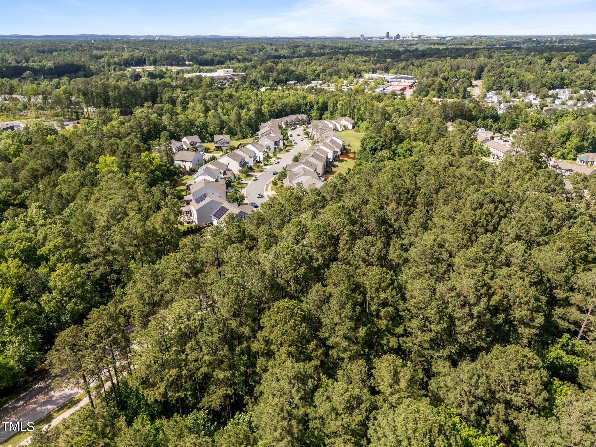 1540 Brown Street Durham, NC 27713 - Photo 15 of 22 a view of a city with mountain view