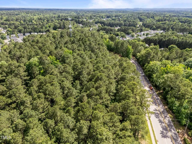 an aerial view of forest