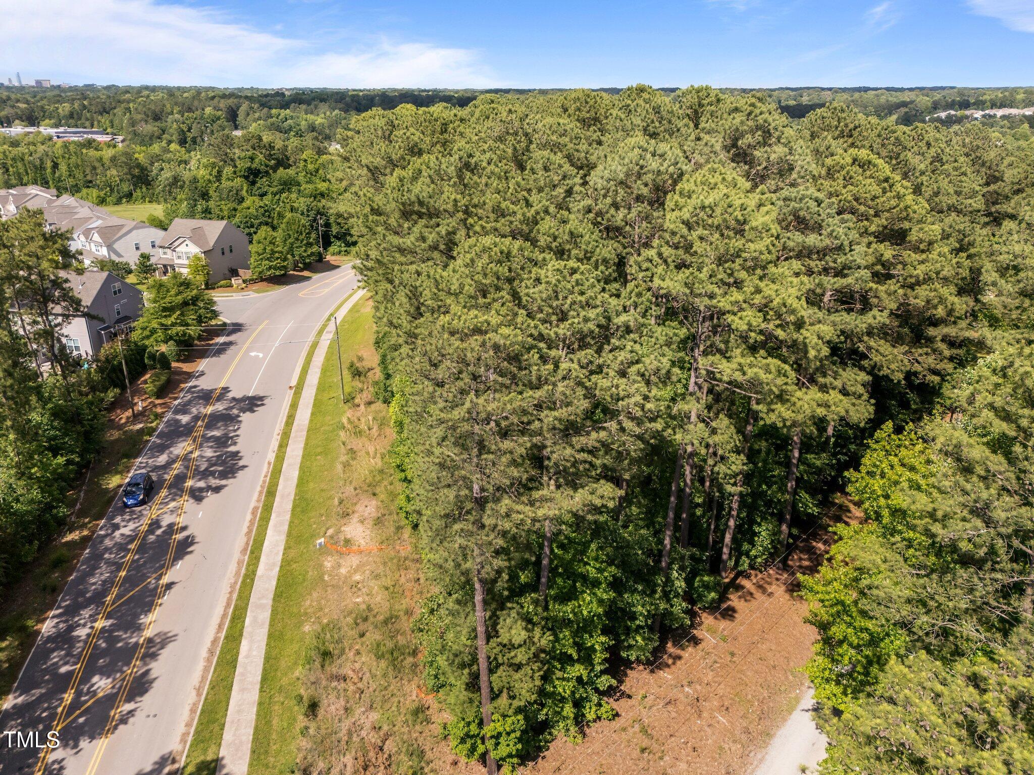 1540 Brown Street Durham, NC 27713 - Photo 22 of 22 a view of a yard with plants