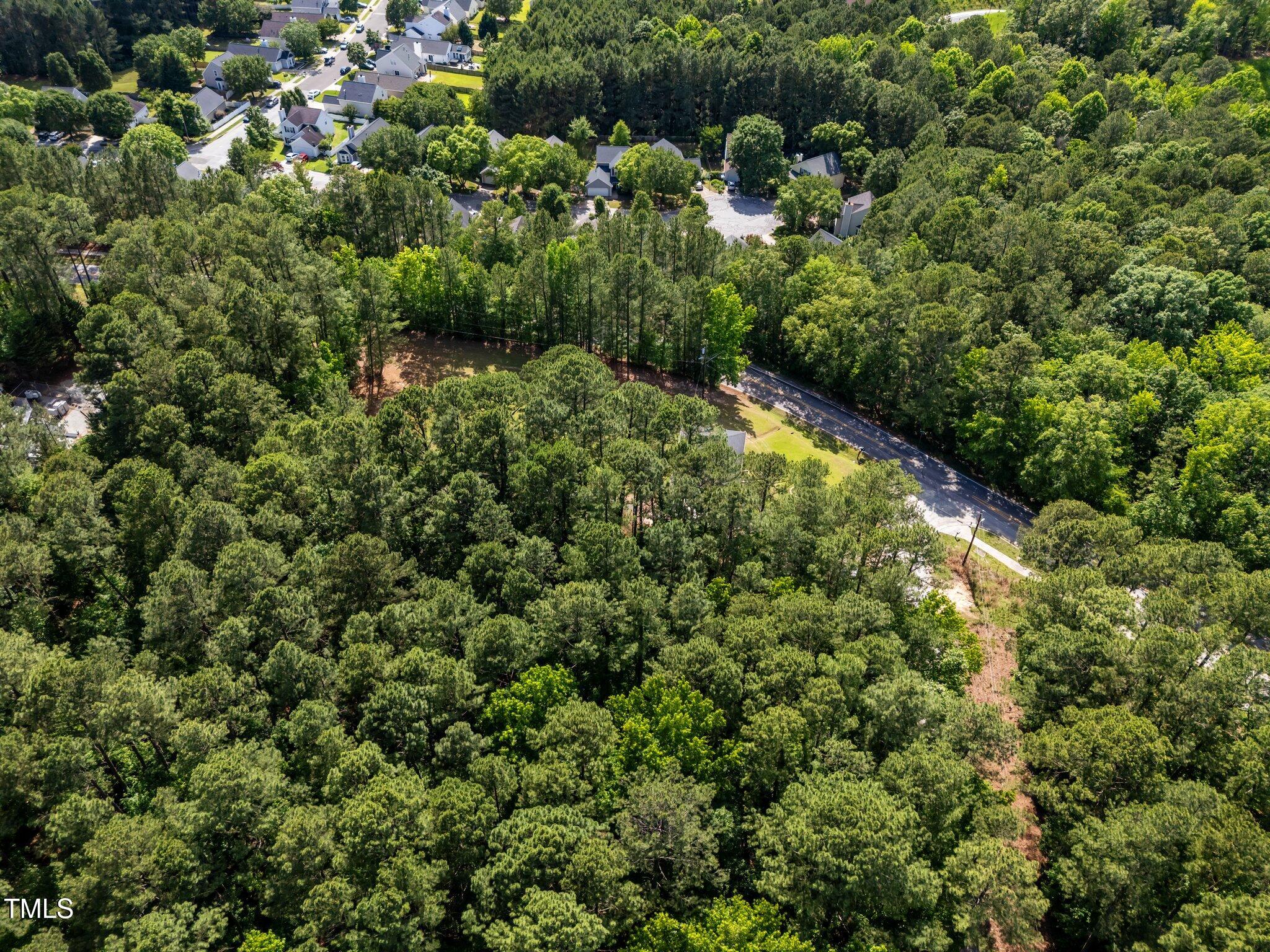 1540 Brown Street Durham, NC 27713 - Photo 8 of 22 a view of a forest that has a tree
