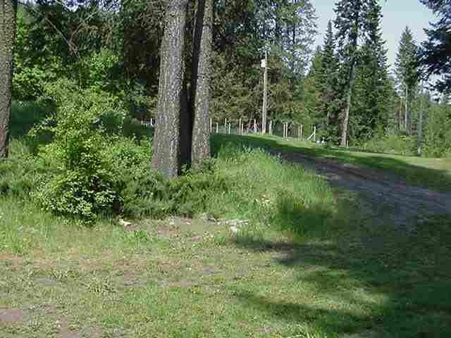 470 Gold Creek Loop Road, Unit 1 Colville, WA 99114 - Photo 3 of 4