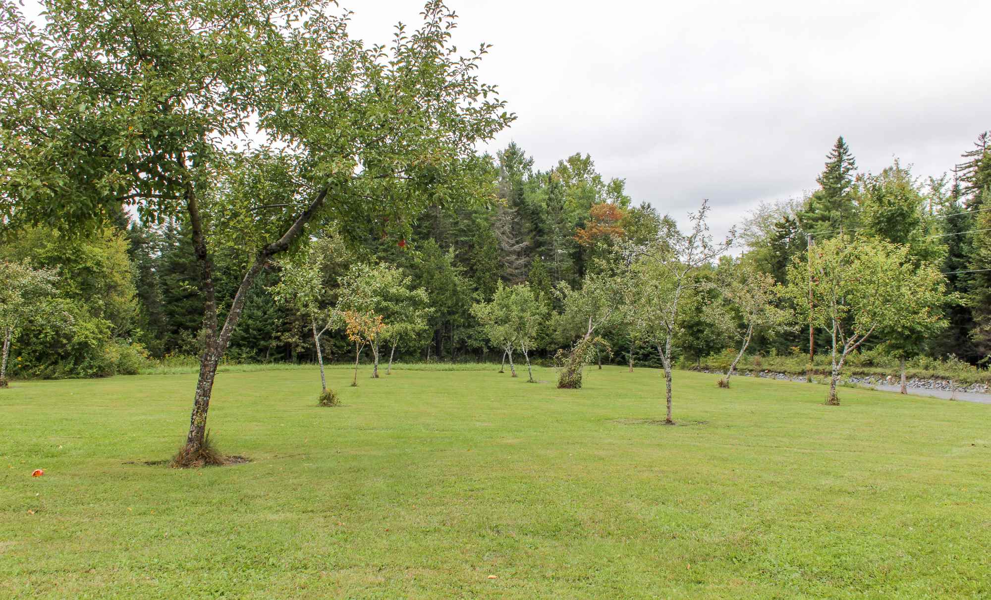 28 Emery Road Barre, VT 05641 - Photo 29 of 36 Gallery Image 29