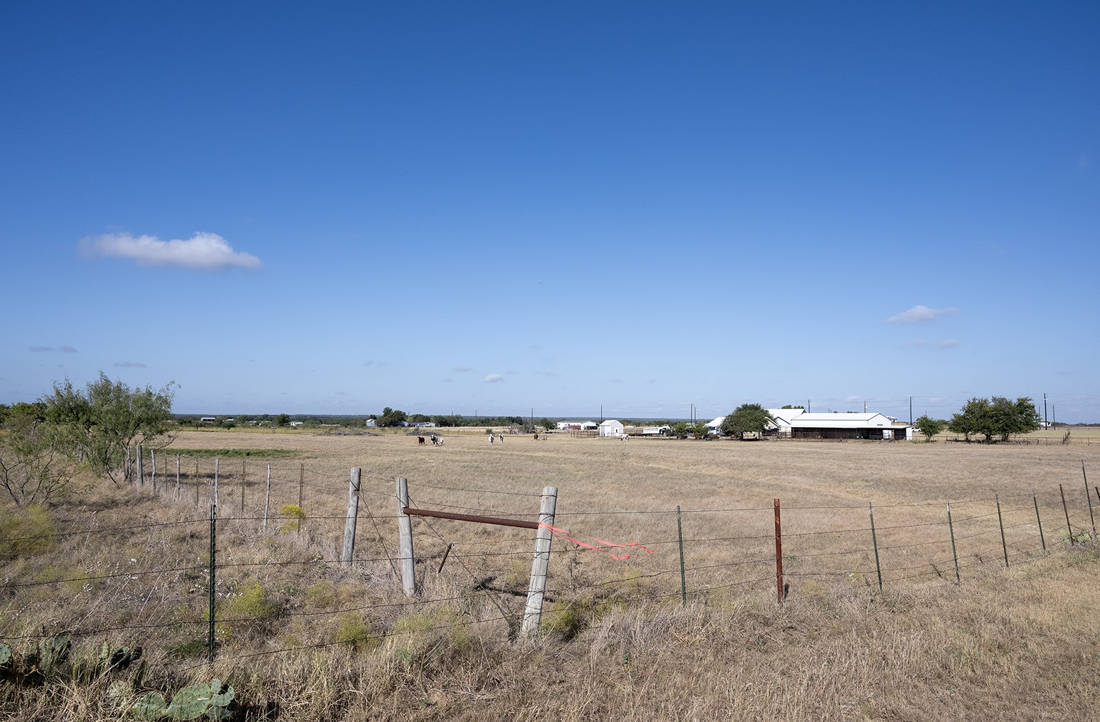 1833 County Road 305 Jarrell, TX 76537 - Photo 14 of 40 Back of subject property