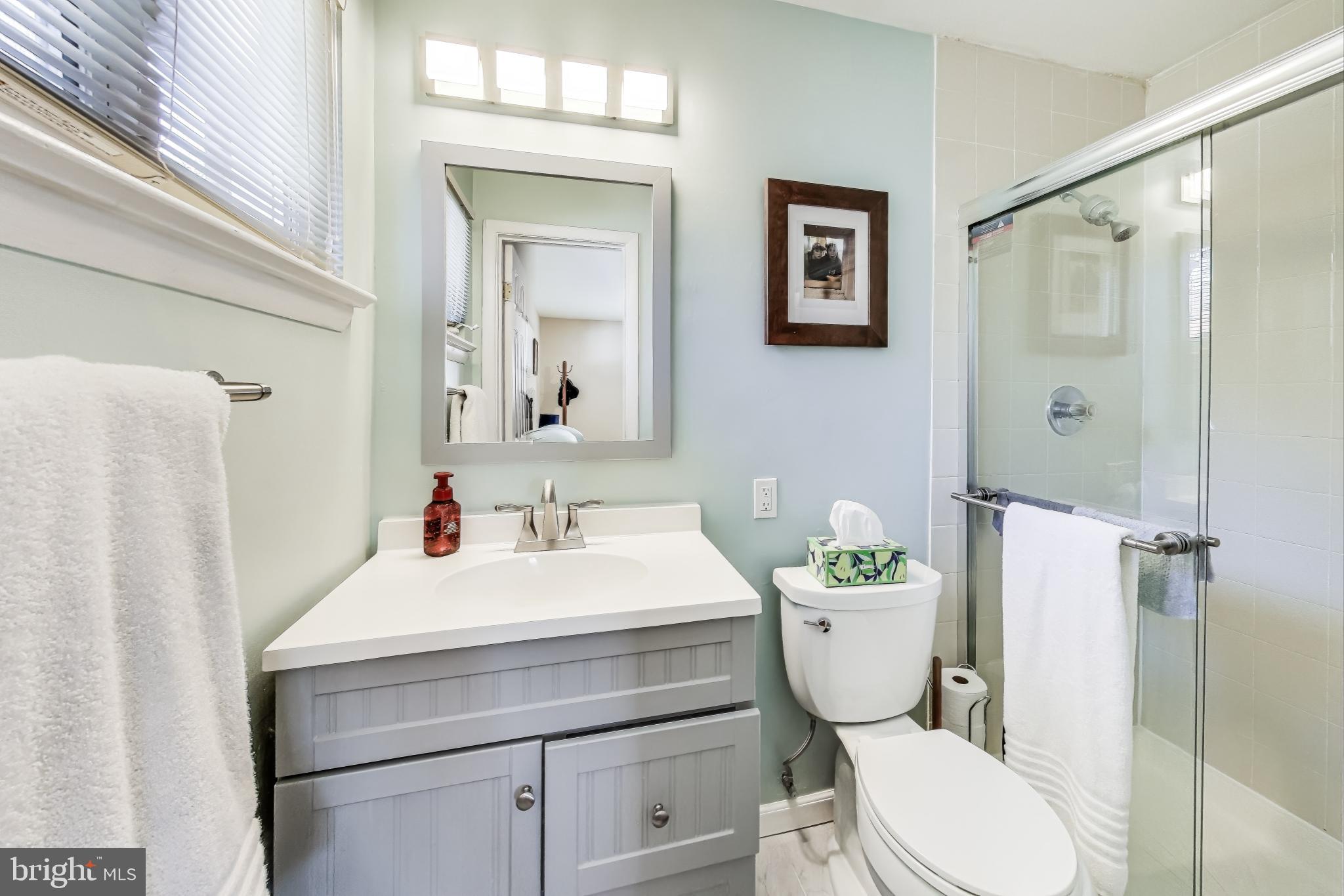 9512 Flower Avenue Silver Spring, MD 20901 - Photo 20 of 41 a bathroom with a sink a toilet a mirror and shower curtain