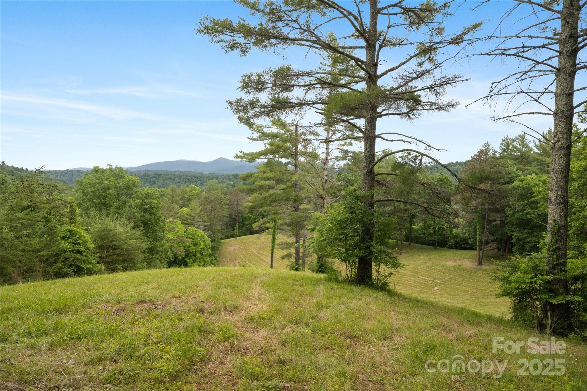942 Paint Fork Road Mars Hill, NC 28754 - Photo 26 of 48