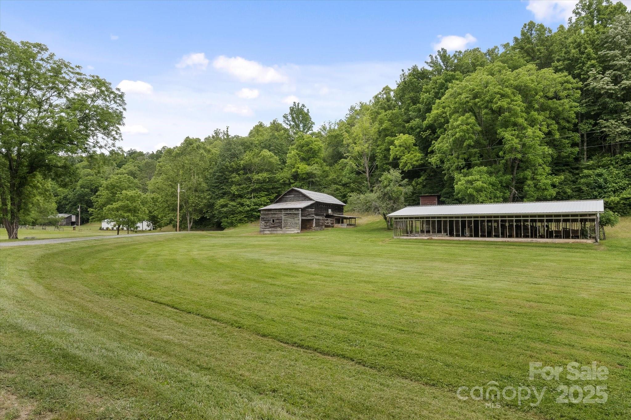 942 Paint Fork Road Mars Hill, NC 28754 - Photo 27 of 48
