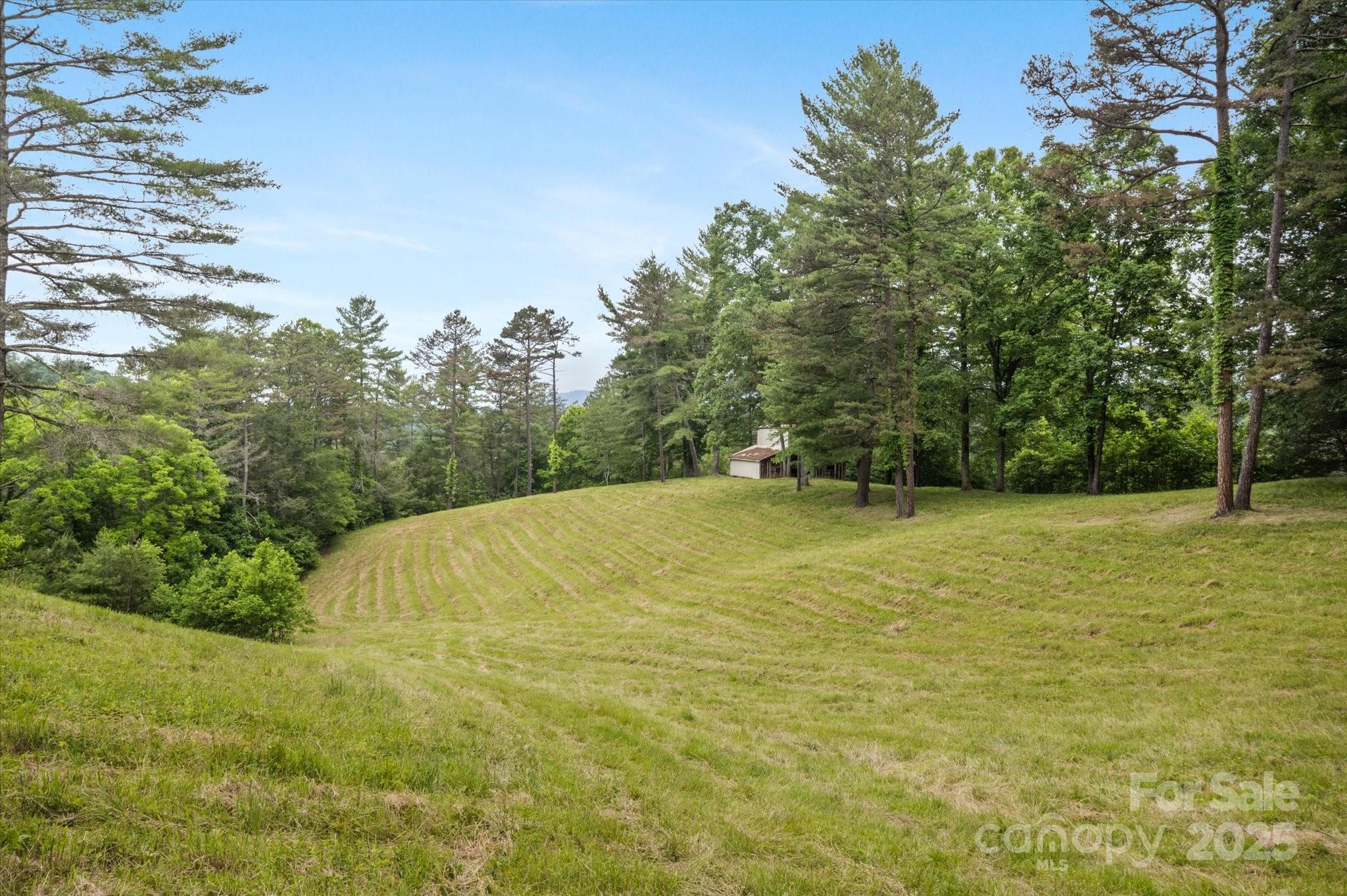 942 Paint Fork Road Mars Hill, NC 28754 - Photo 29 of 48