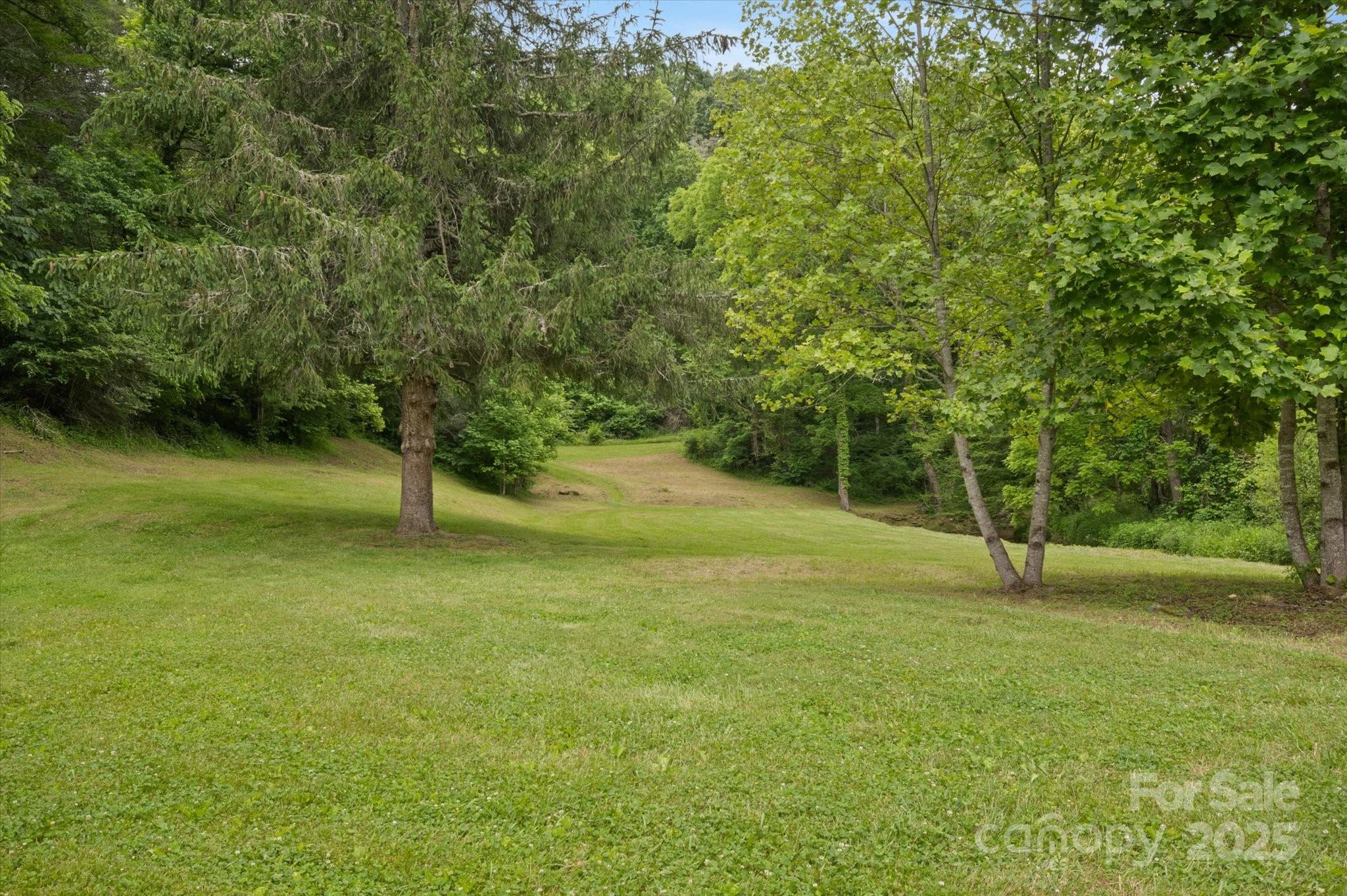 942 Paint Fork Road Mars Hill, NC 28754 - Photo 33 of 48