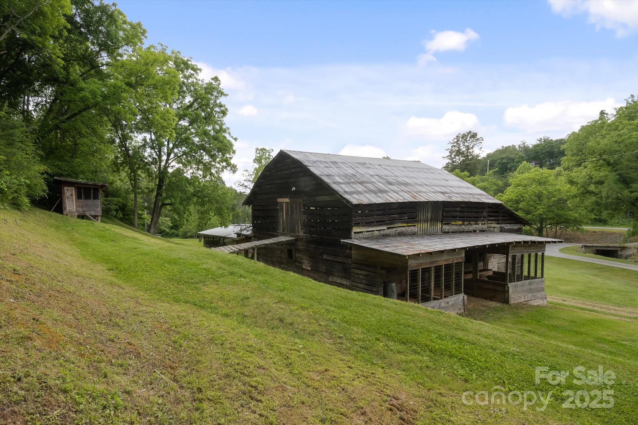 942 Paint Fork Road Mars Hill, NC 28754 - Photo 34 of 48