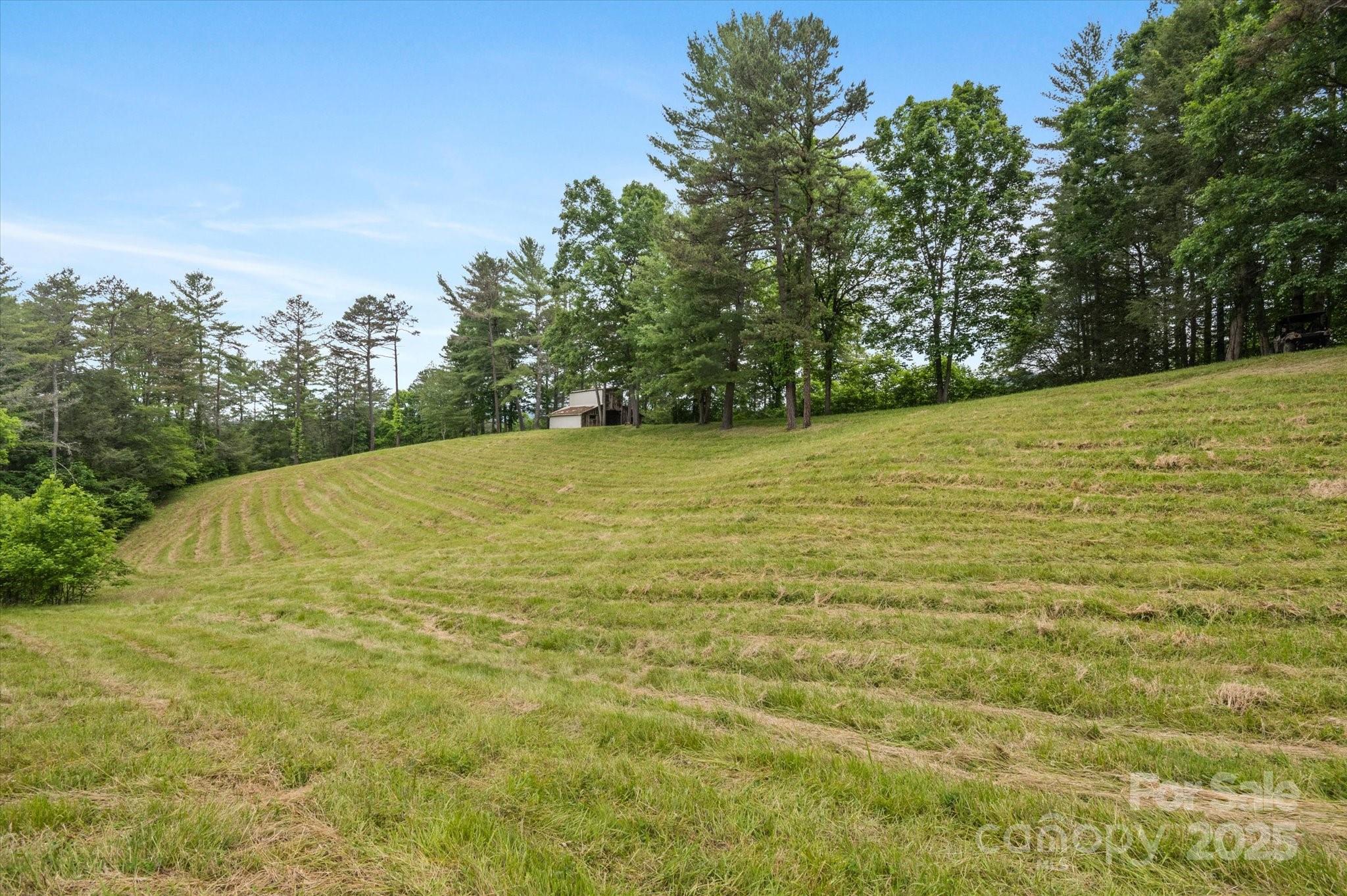 942 Paint Fork Road Mars Hill, NC 28754 - Photo 35 of 48