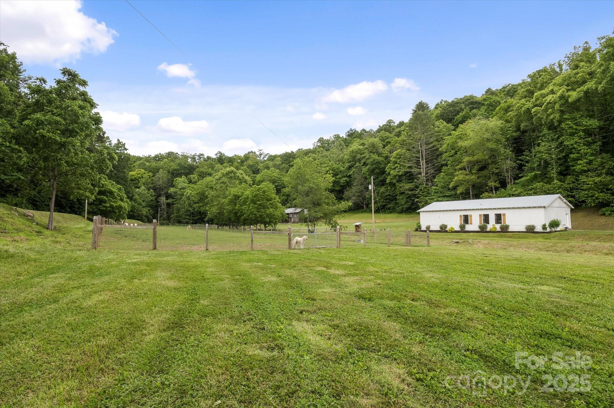 942 Paint Fork Road Mars Hill, NC 28754 - Photo 42 of 48