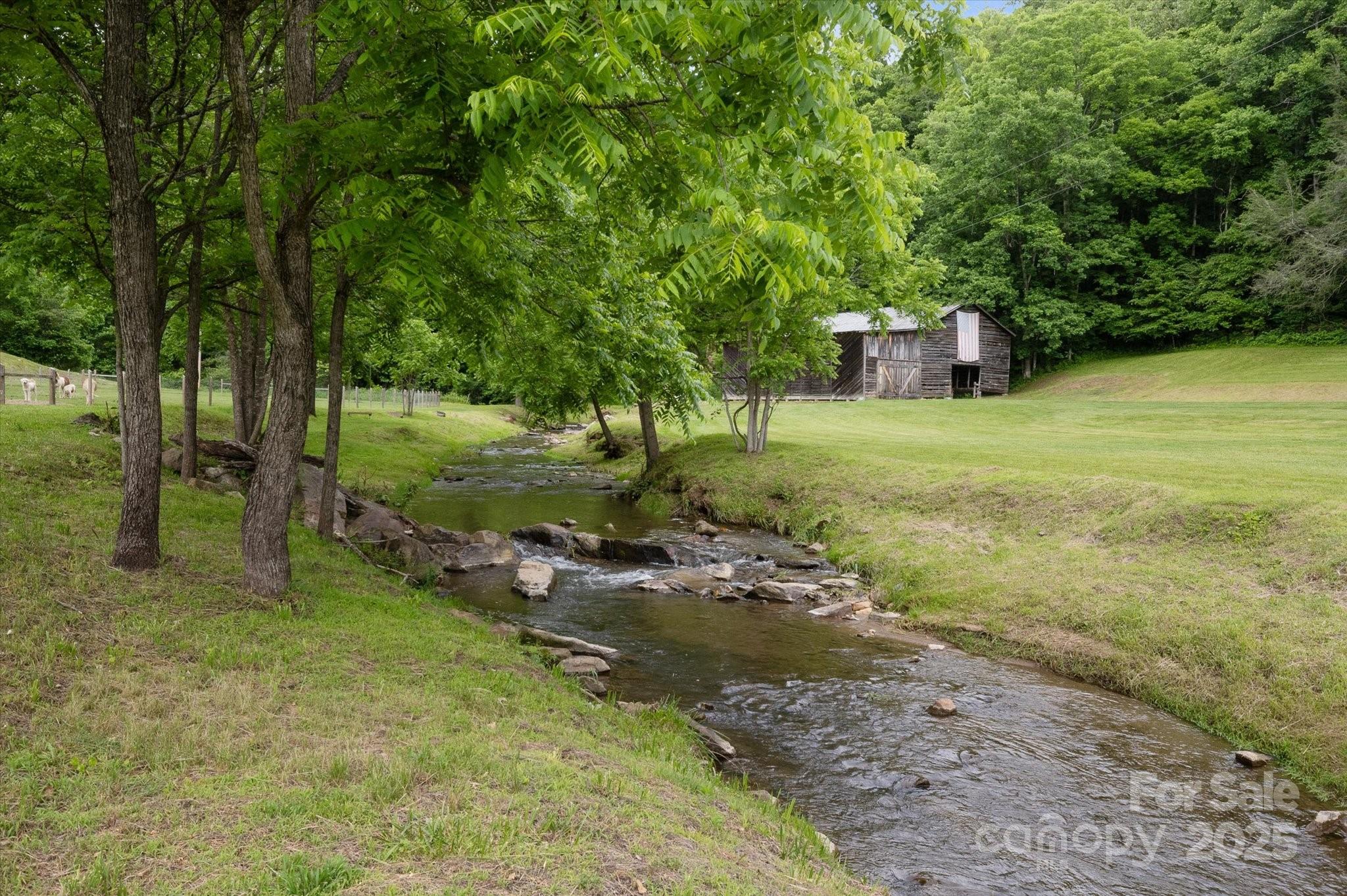 942 Paint Fork Road Mars Hill, NC 28754 - Photo 44 of 48