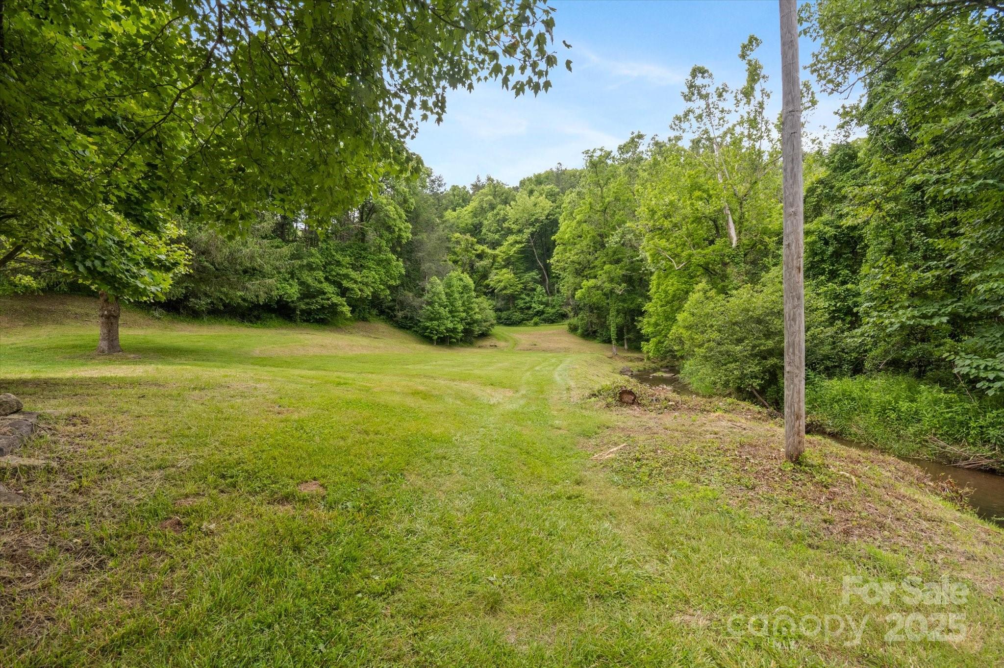 942 Paint Fork Road Mars Hill, NC 28754 - Photo 46 of 48